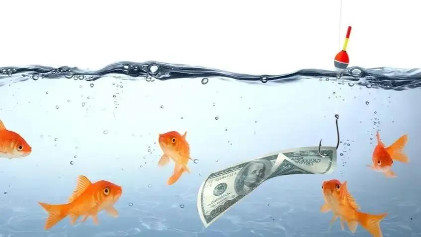 丁香酒有哪些好处,丁香酒什么时候用有效果