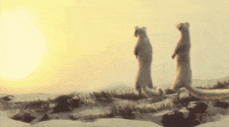 湖北一钓友常被黄鼠狼“打劫”,钓鱼佬被抢劫