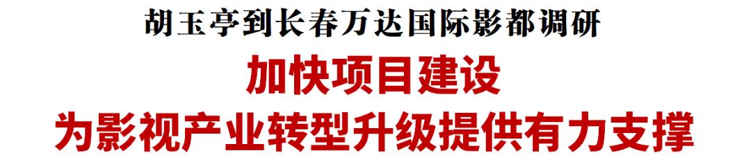 胡玉亭到长春万达国际影都调研