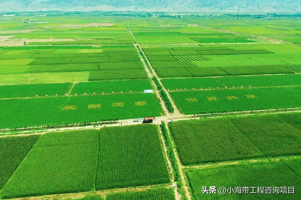 湖北省水利项目立项审批流程,湖北省委省政府十大工程项目清单