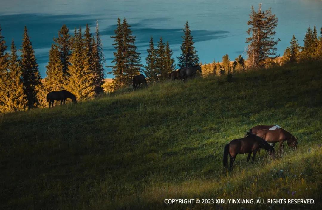 夏季旅游避暑旅行攻略大全,8月避暑旅游最佳地方国内3-5天