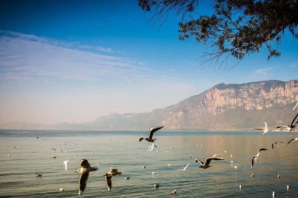 来海埂公园感受初夏浪漫,享受周末休闲快乐时光