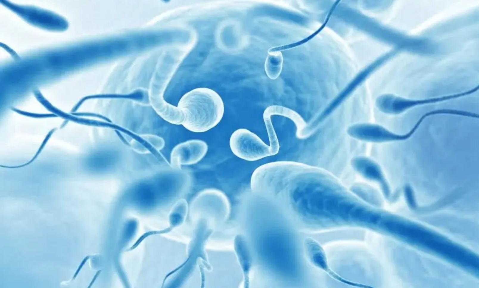 最快知道是否怀孕的方法,怎么最快速度知道怀孕