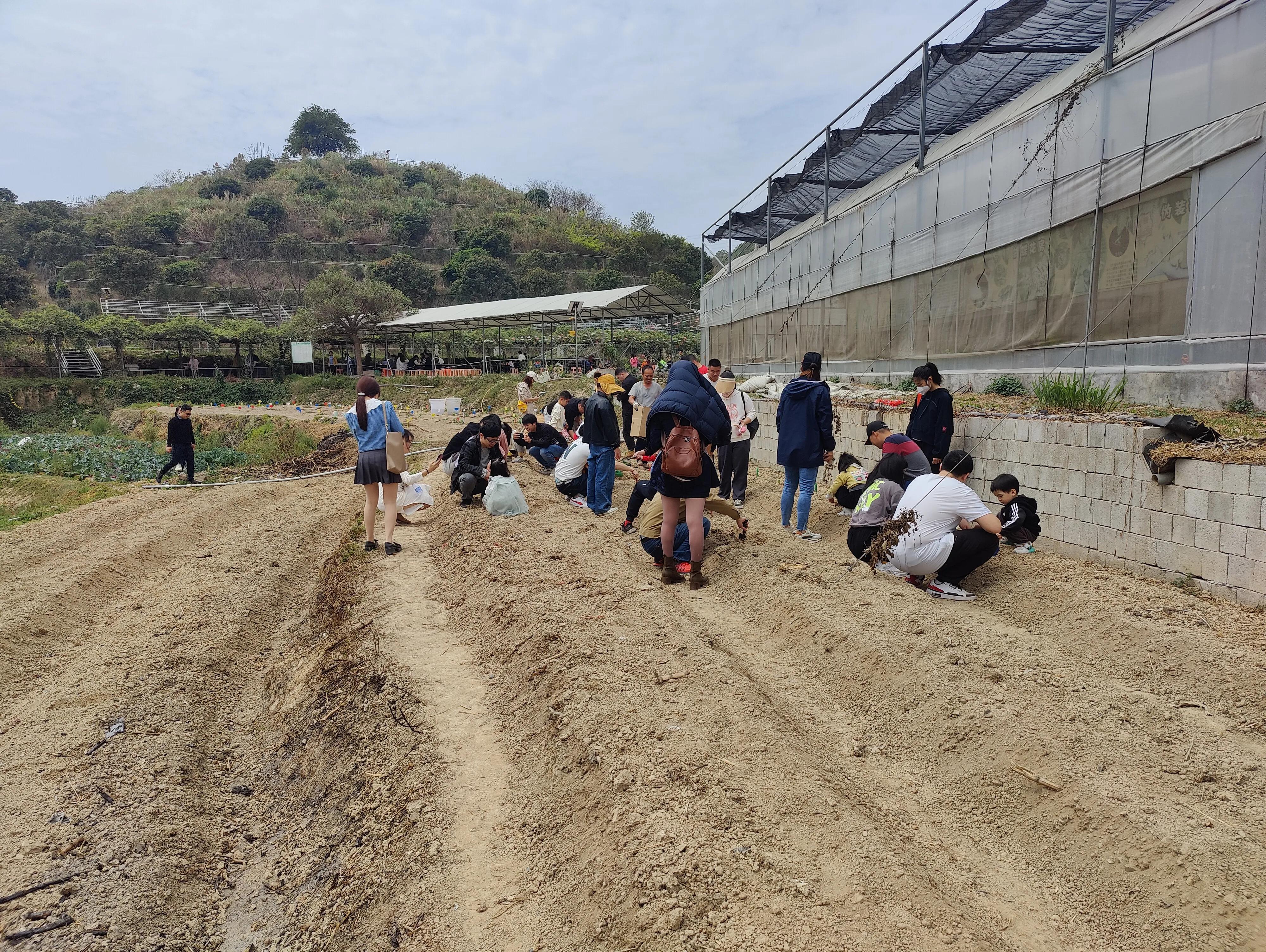 厦门王朝车友会——植树节活动之大帽山生态农场游记