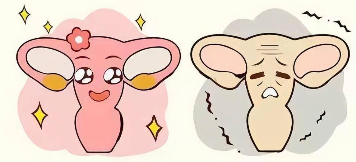 姨妈完后外阴痛怎么回事,姨妈过后外阴有点疼怎么回事