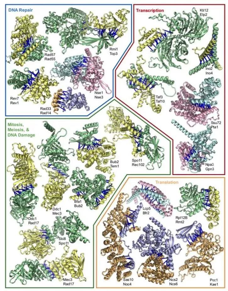 知耕快报｜作物基因组设计育种工具箱；Calyxt植物合成生物学方案
