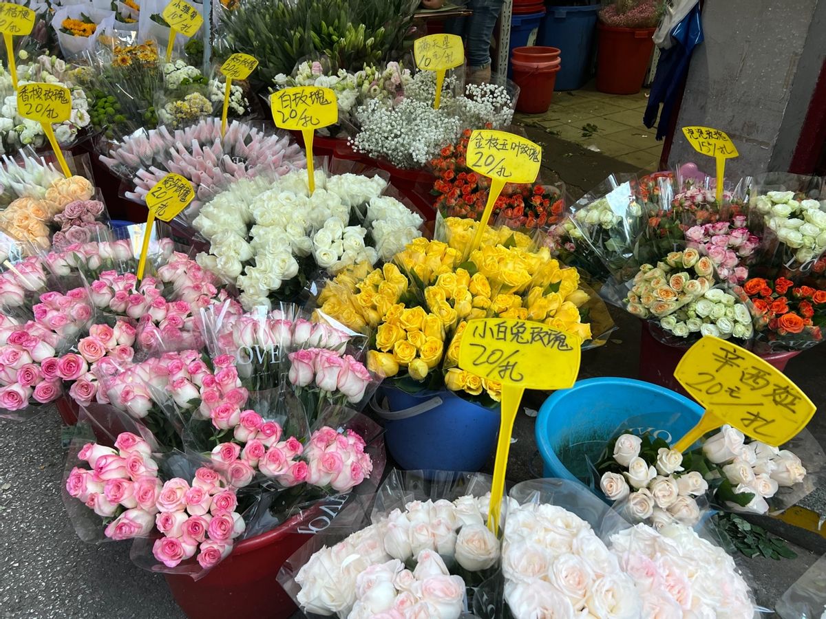 国庆走访武汉网红花市：小红书爆款“卡布奇诺”花涨价，店主预计降温后买花人会更多
