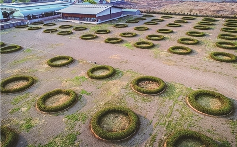 【行走河南·读懂中国】含嘉仓：揭开粮食千年不腐的秘密
