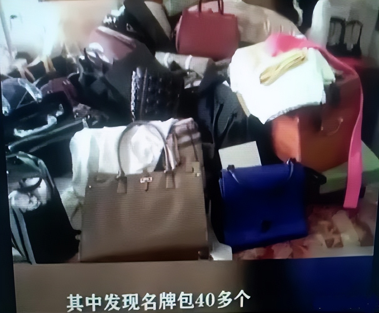 女贪官20多年老纪检：爱马仕丝巾整整一柜子，买了一套房藏匿赃物