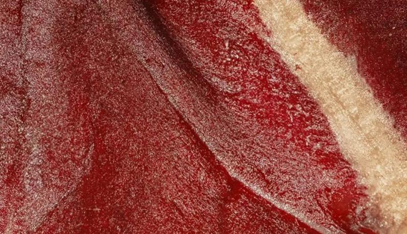 汉堡王自黑广告,汉堡王广告失败案例