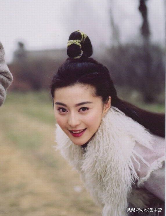 萍踪侠影录第十九回,萍踪侠影第30回