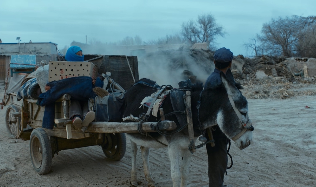 《隐入尘烟》被下架大可不必，其实可以正视研究改进它