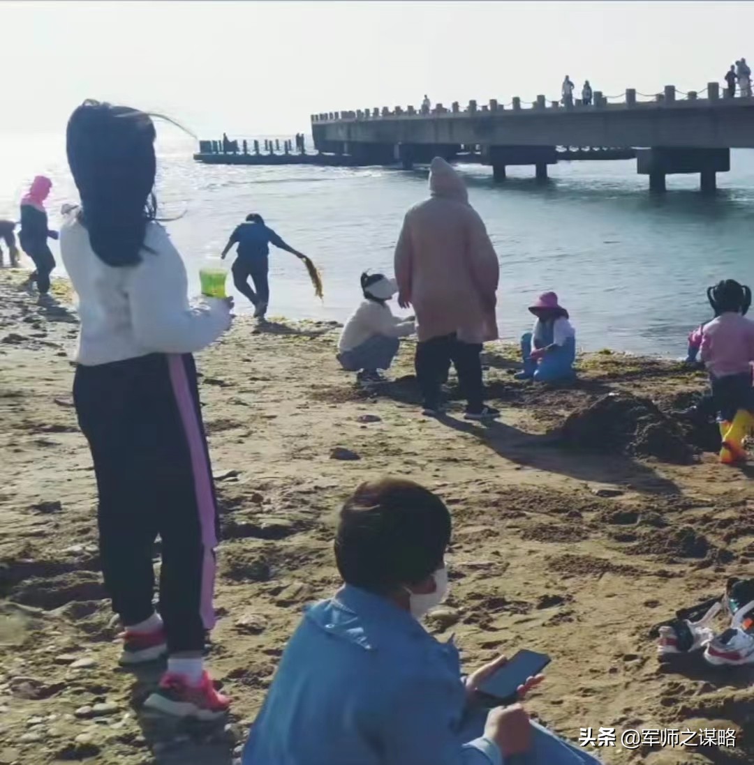 大连赶海去黄海还是渤海,大连海岸线旅游攻略