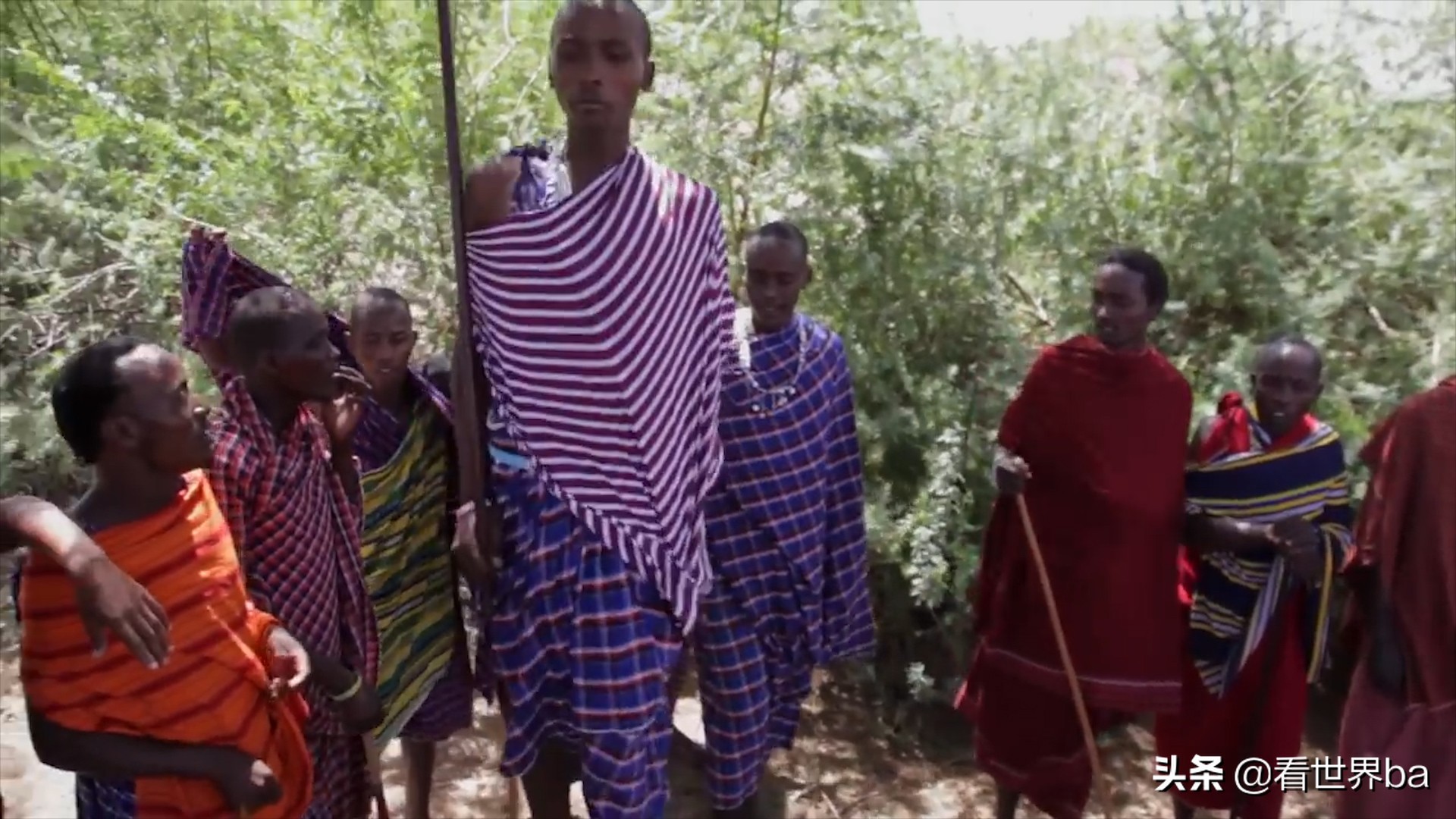 马赛人拿长矛单杀狮子,马赛人单枪匹马猎杀狮子
