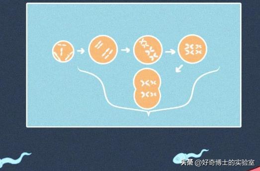 纵欲过度，真的会死人吗？历史上有没有精尽人亡的案例？