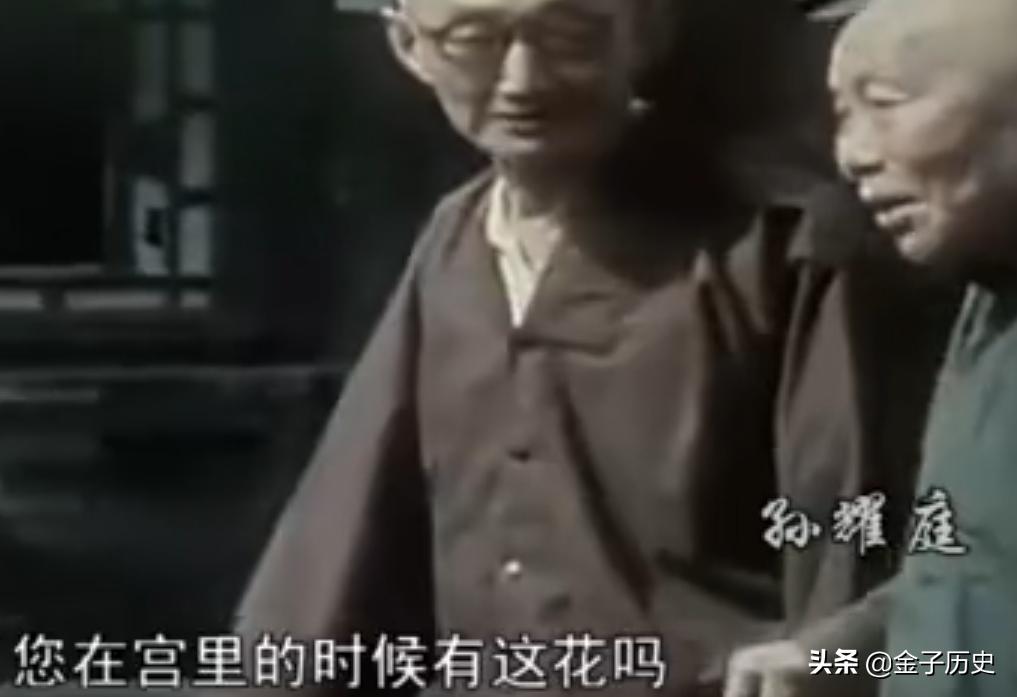 最后一位清朝太监,历史上最后一个太监大清亡了