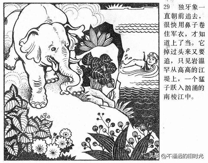 大象搬家,大象搬家河北