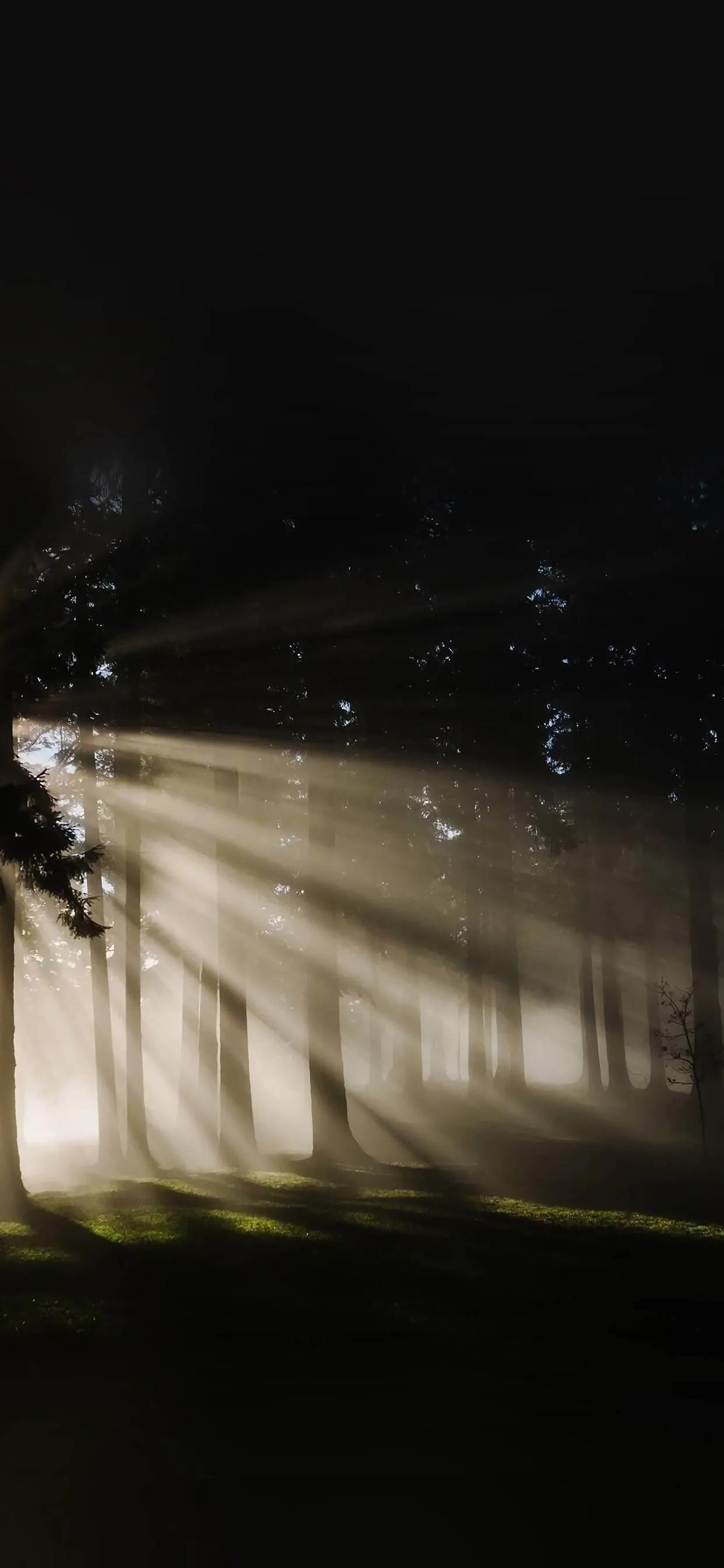 暗黑壁纸女生霸气,壁纸暗黑高级质感