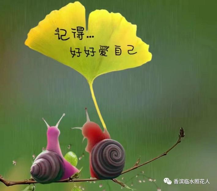 满分作文奋斗成就梦想,奋斗成就梦想小作文