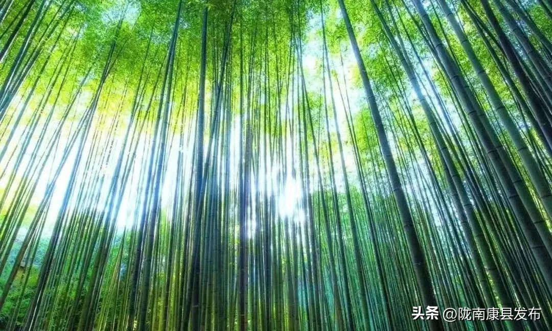 浜斾竴搴峰吇鏃呮父,浜斾竴搴峰吇搴﹀亣鏀荤暐