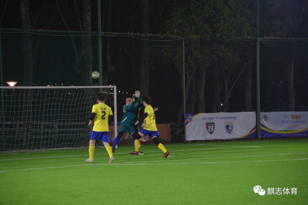 本是同根生结局解析,本是同根生愿结连理枝