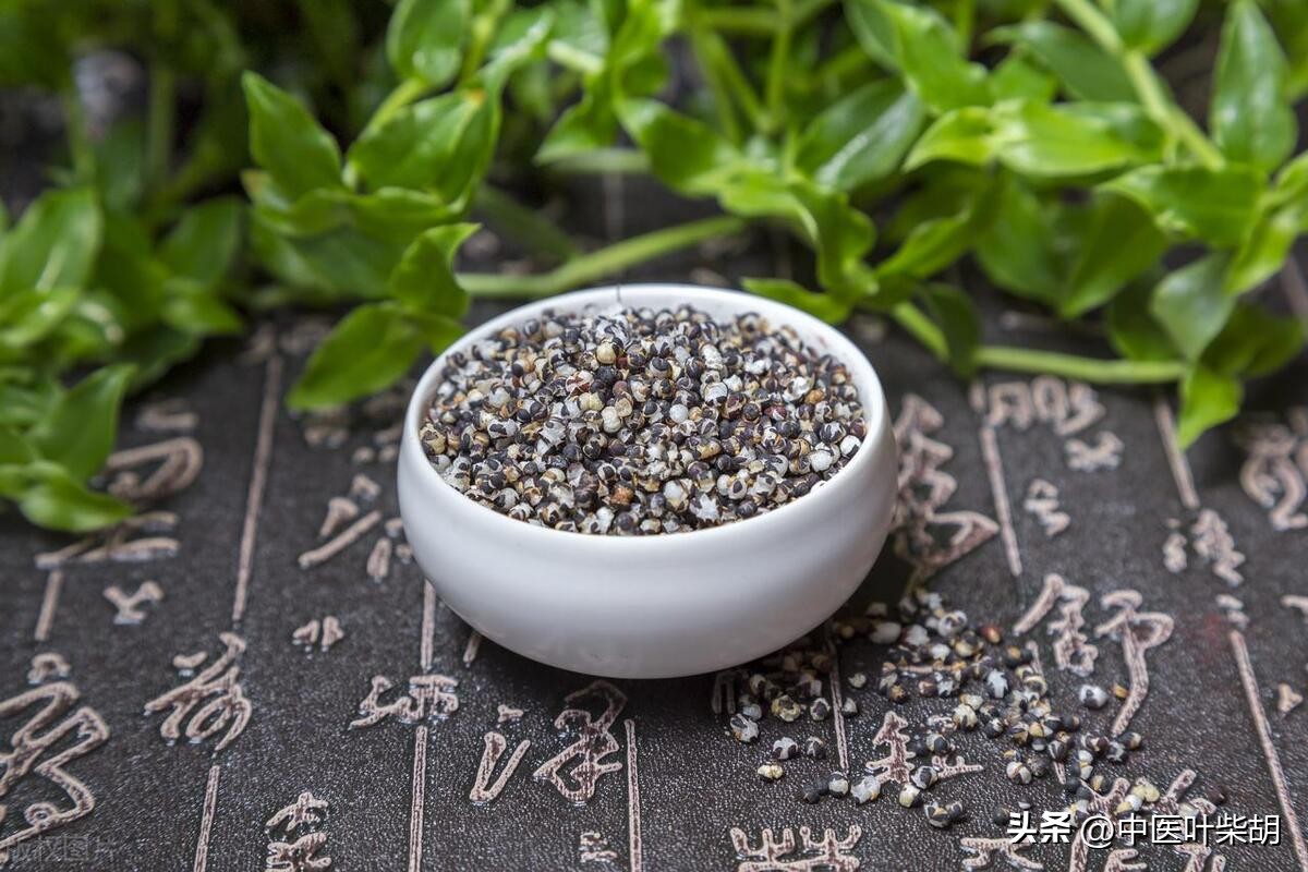 杨兆林经方治疗慢性前列腺炎,经方治疗慢性前列腺炎一例体会