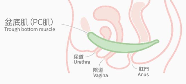 妹妹的“松紧”跟经常嘿嘿嘿有关系吗?