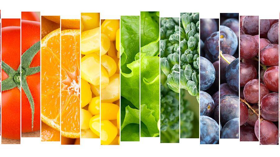 骨科患者营养管理,肾病患者的营养管理