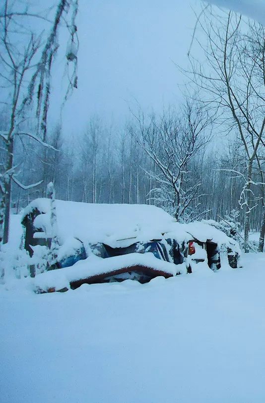 365天最美24节气图诞生惊艳国人,这组24节气图太美了