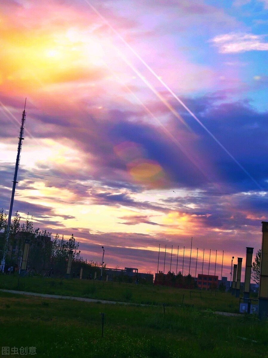 暑假体验及生活感悟,暑假生活体验感悟