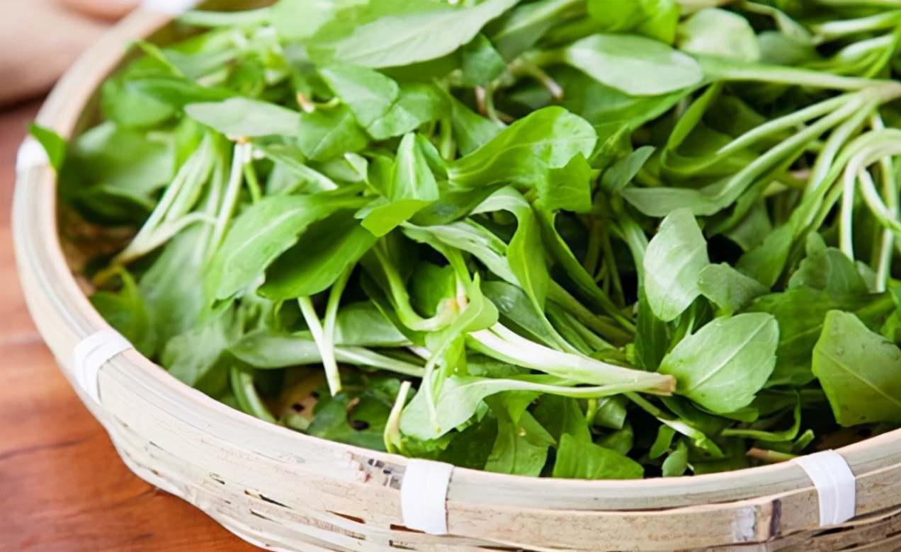 亚运美食食堂,2022亚运会菜肴