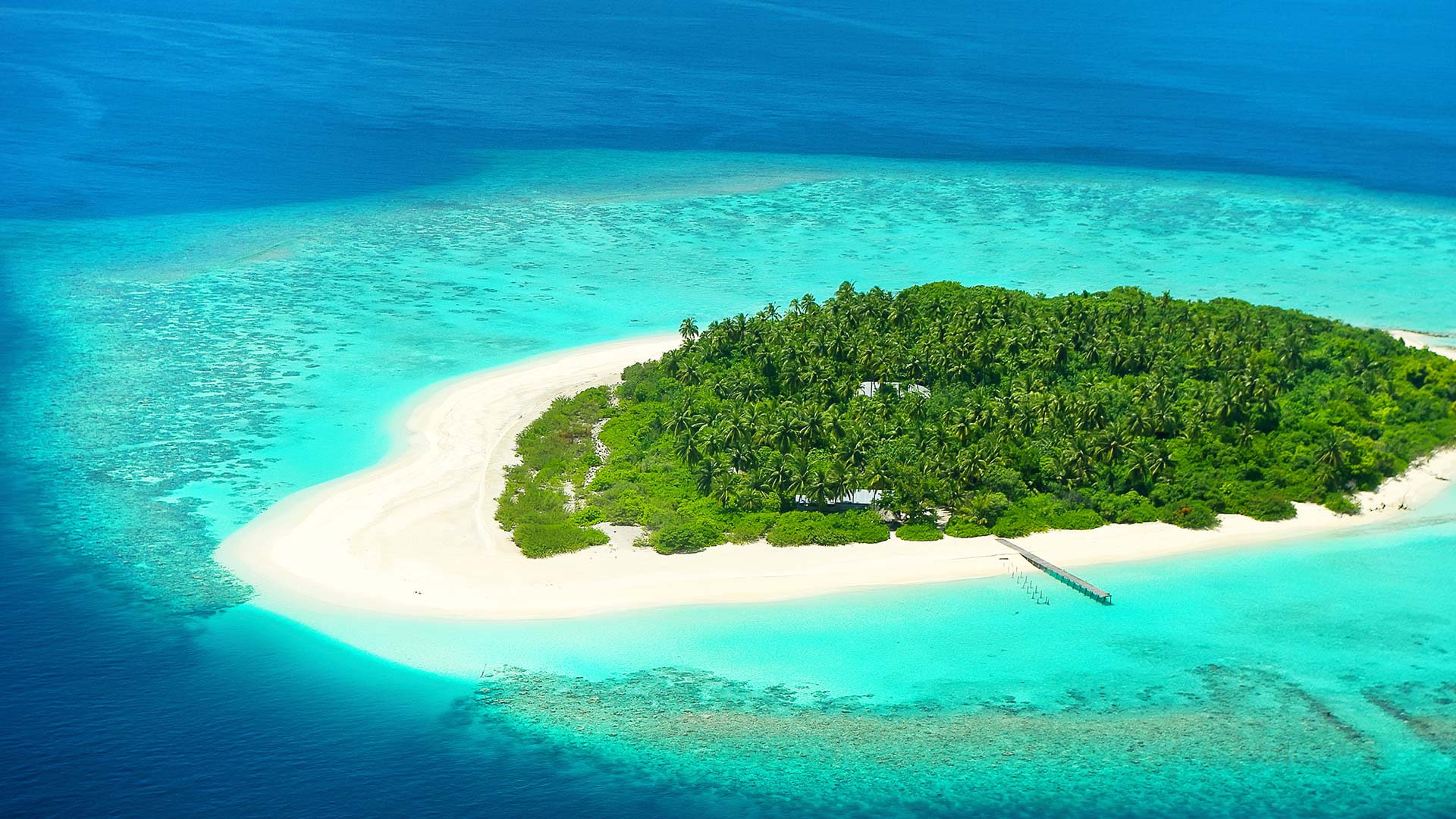 豪横女子最新视频,豪横女子