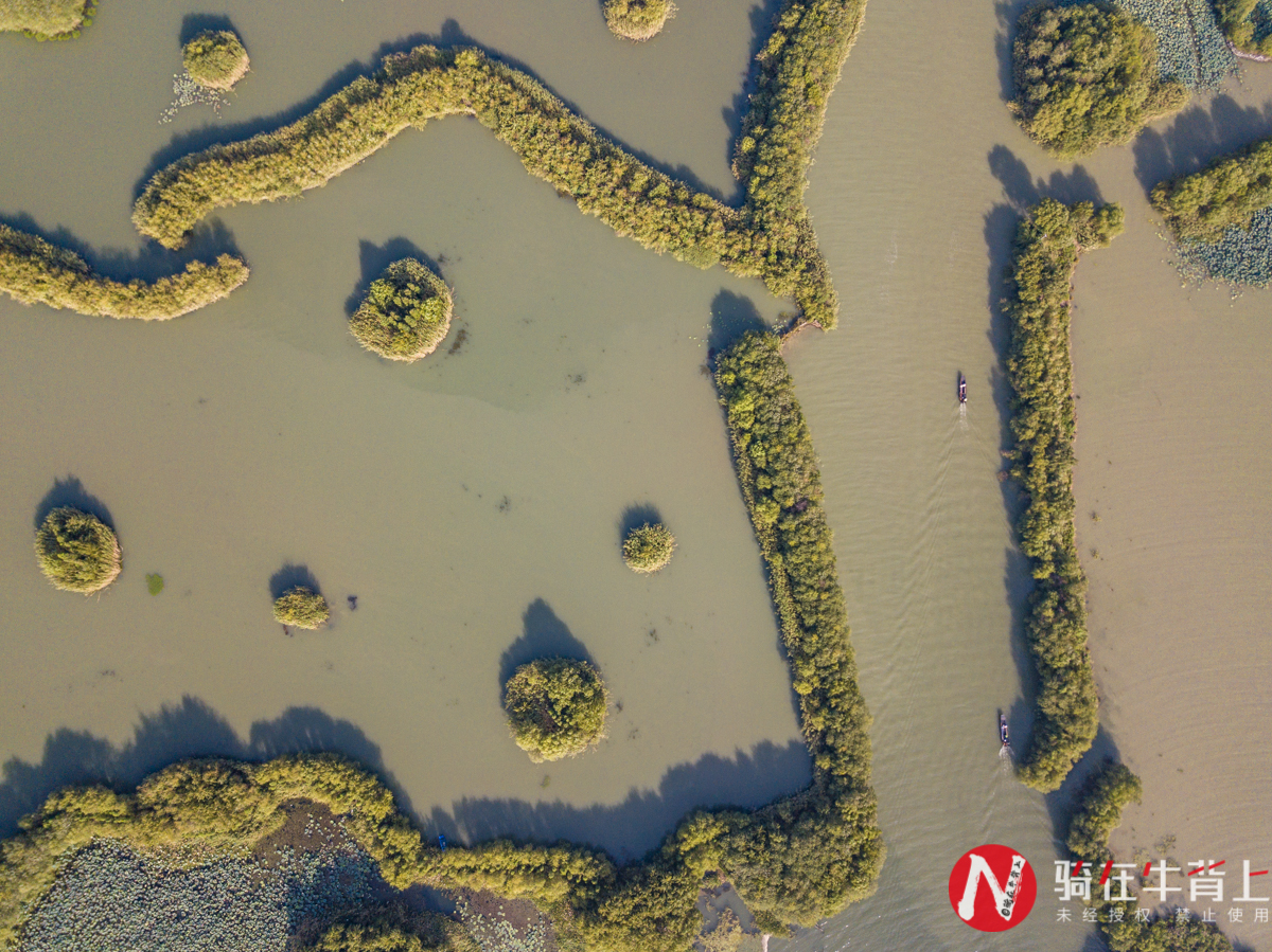 来苏州必去的十大旅游景点,来苏州玩七个景点免费