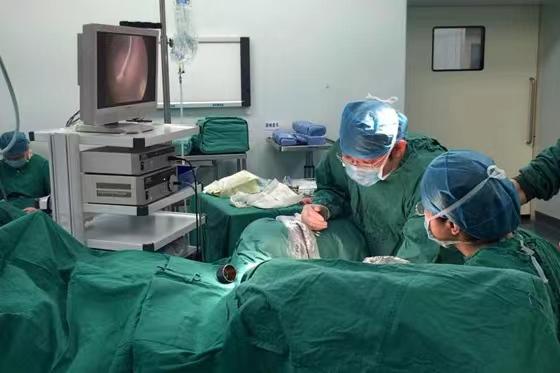 广西植物人产下婴儿现在如何,广西植物人妈妈生下孩子纪录片