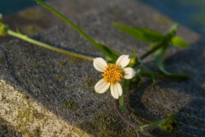 面对瞧不起你的人视频,对待瞧不起你的人怎么回击