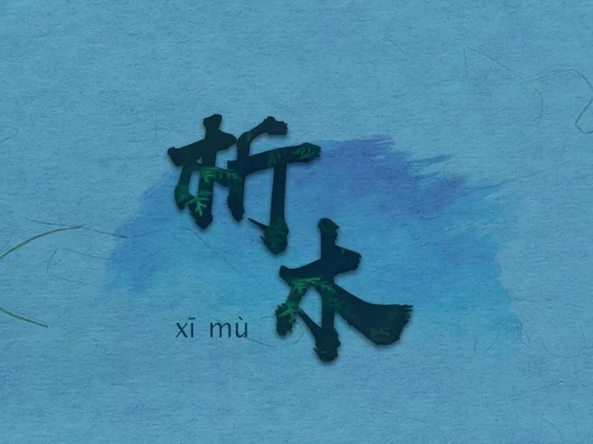 中国传统十二星座排名,中国的十二星座是什么样子的