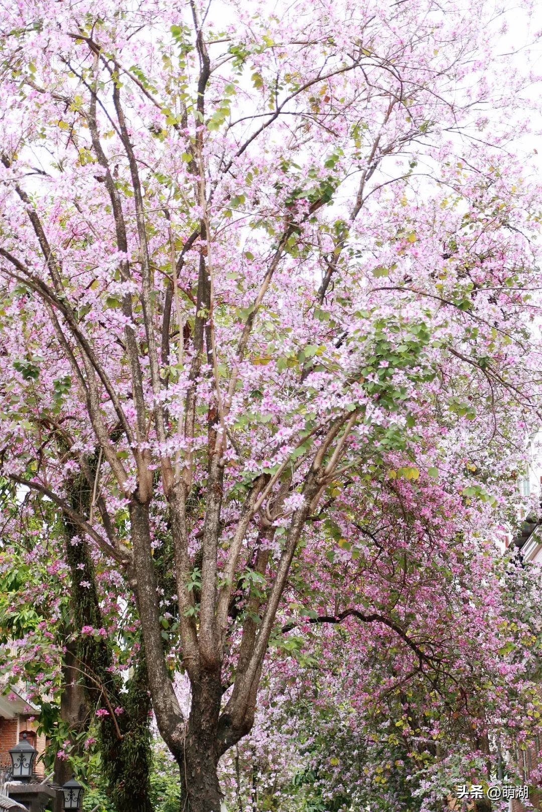 广州旅行打卡文艺街区,广州文艺圣地东山口