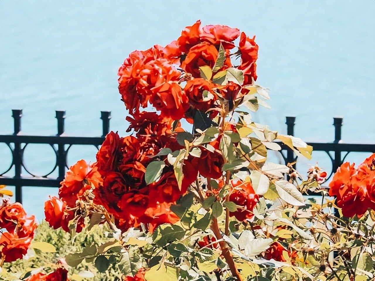 上升水瓶座给人的感觉,上升水瓶不为人知的潜能