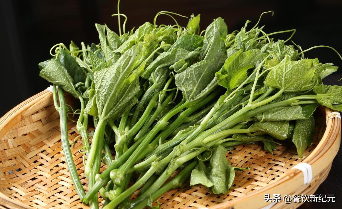 小贴士你不可不知的小暑养生秘诀,小暑养生小窍门