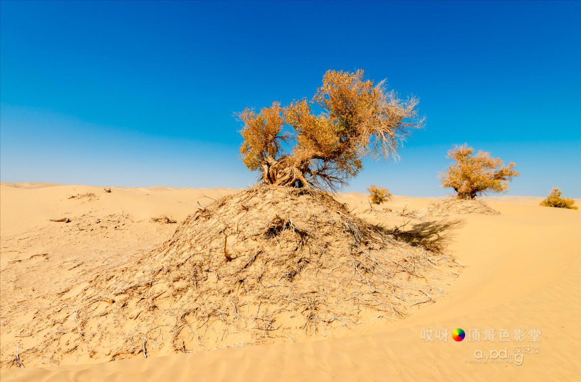 女司机带娃去新疆自驾游,带着女司机自驾游兰州