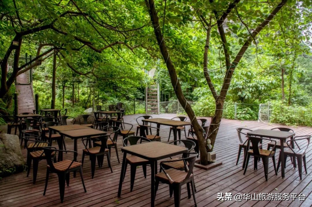 这段时间游华山免门票,华山旅游景点免门票怎么预约的