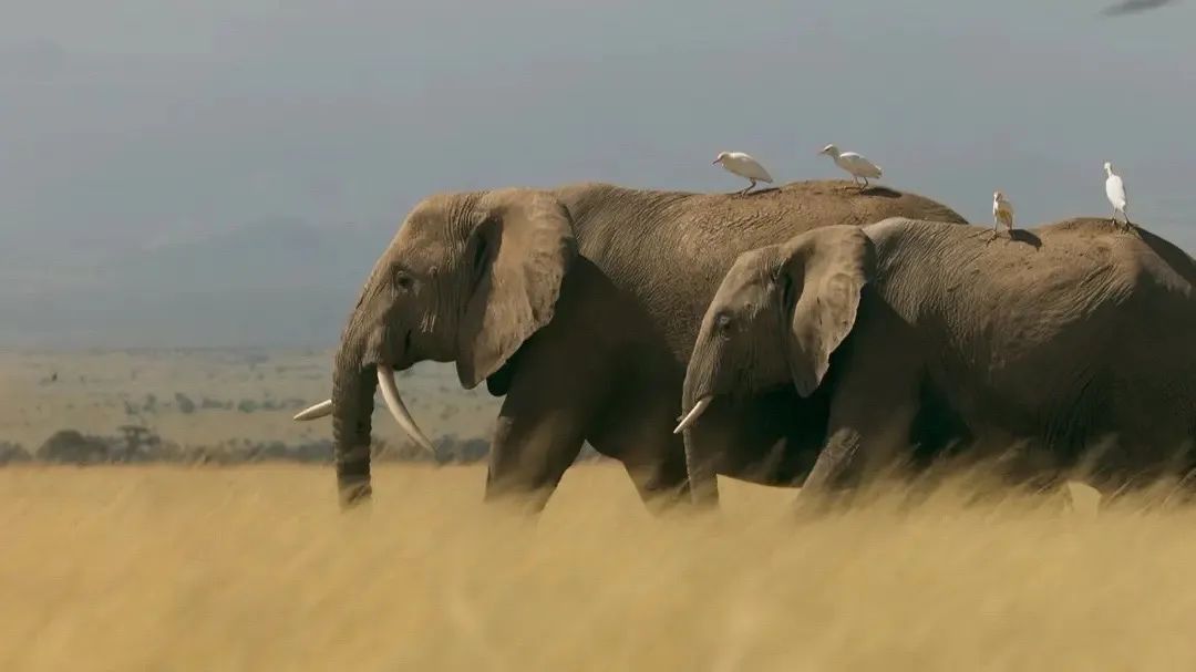 豆瓣90以上5部适合假期看的好片,五一绝不能错过十部好片
