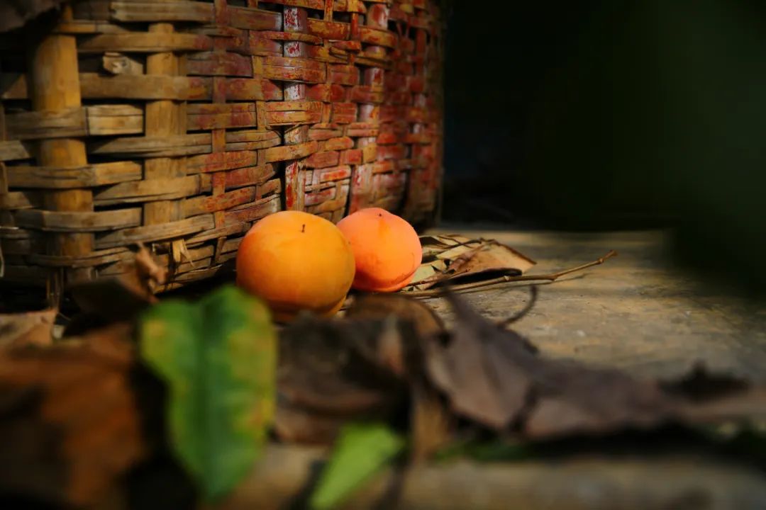 柿子乡愁,乡愁记忆柿子熟了