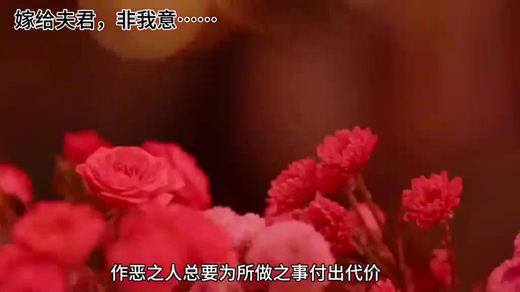 我嫁给慕南辞的半年后,我不伤心吗?