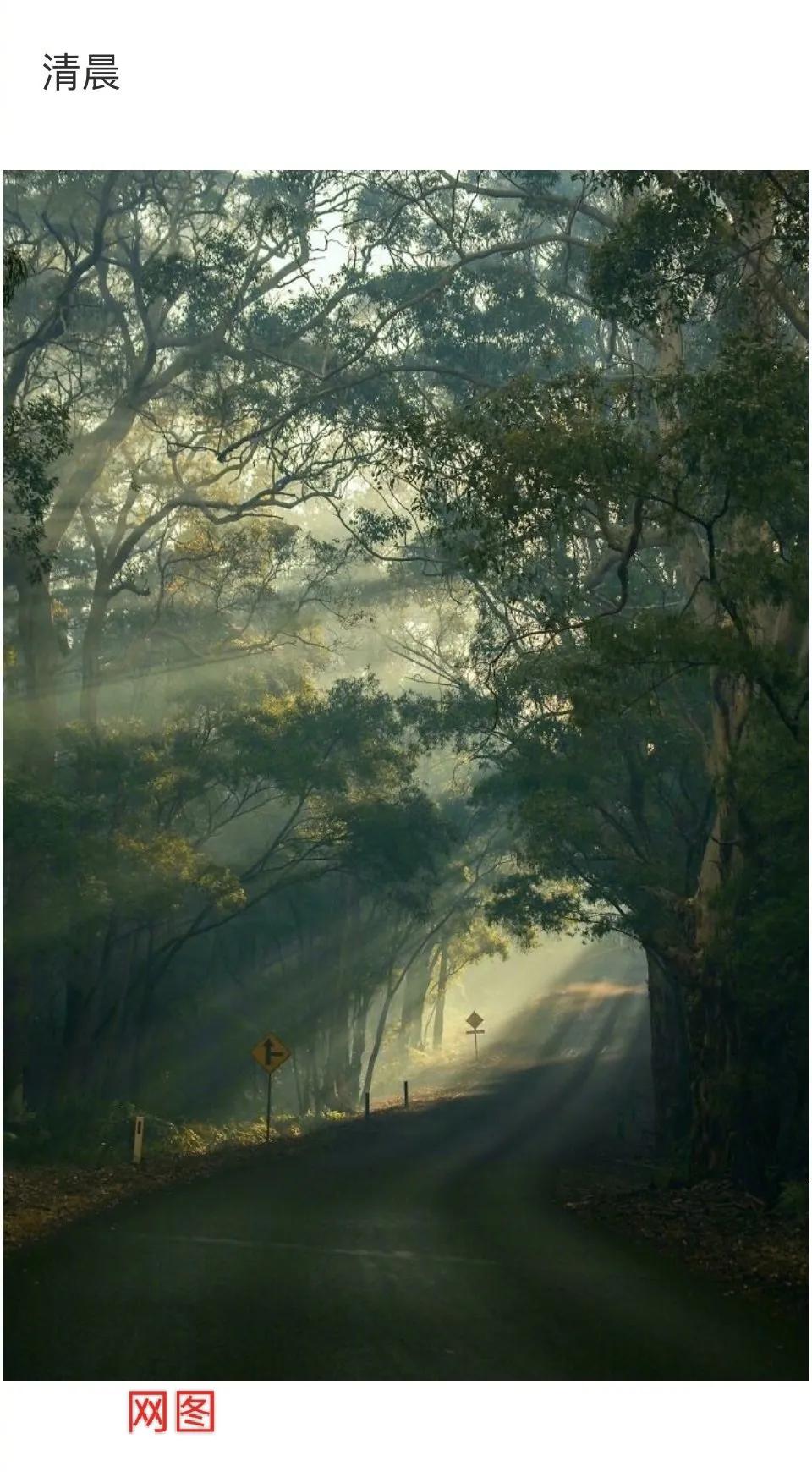 游戏人生零和游戏人生空白的关系,人生就是一场寻找的游戏