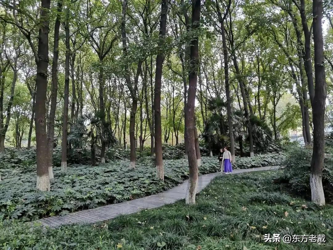 不同意找保姆的老人养老问题,老人去养老院好还是请家庭保姆好