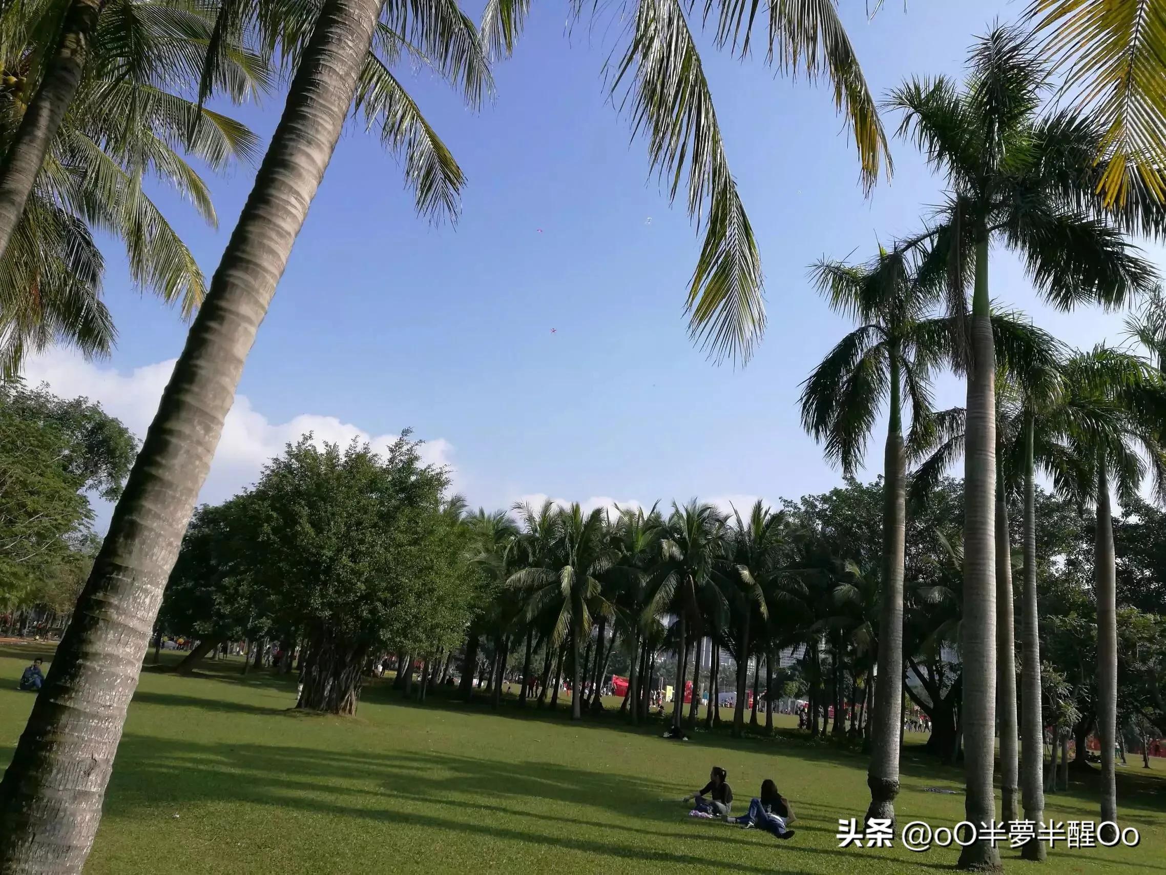 海口印象,海口印象酒店公寓