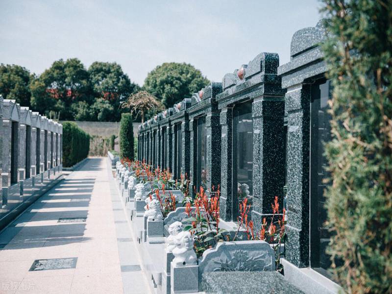 墓地风水图解知识大全,艾尔登法环灵依墓地位置