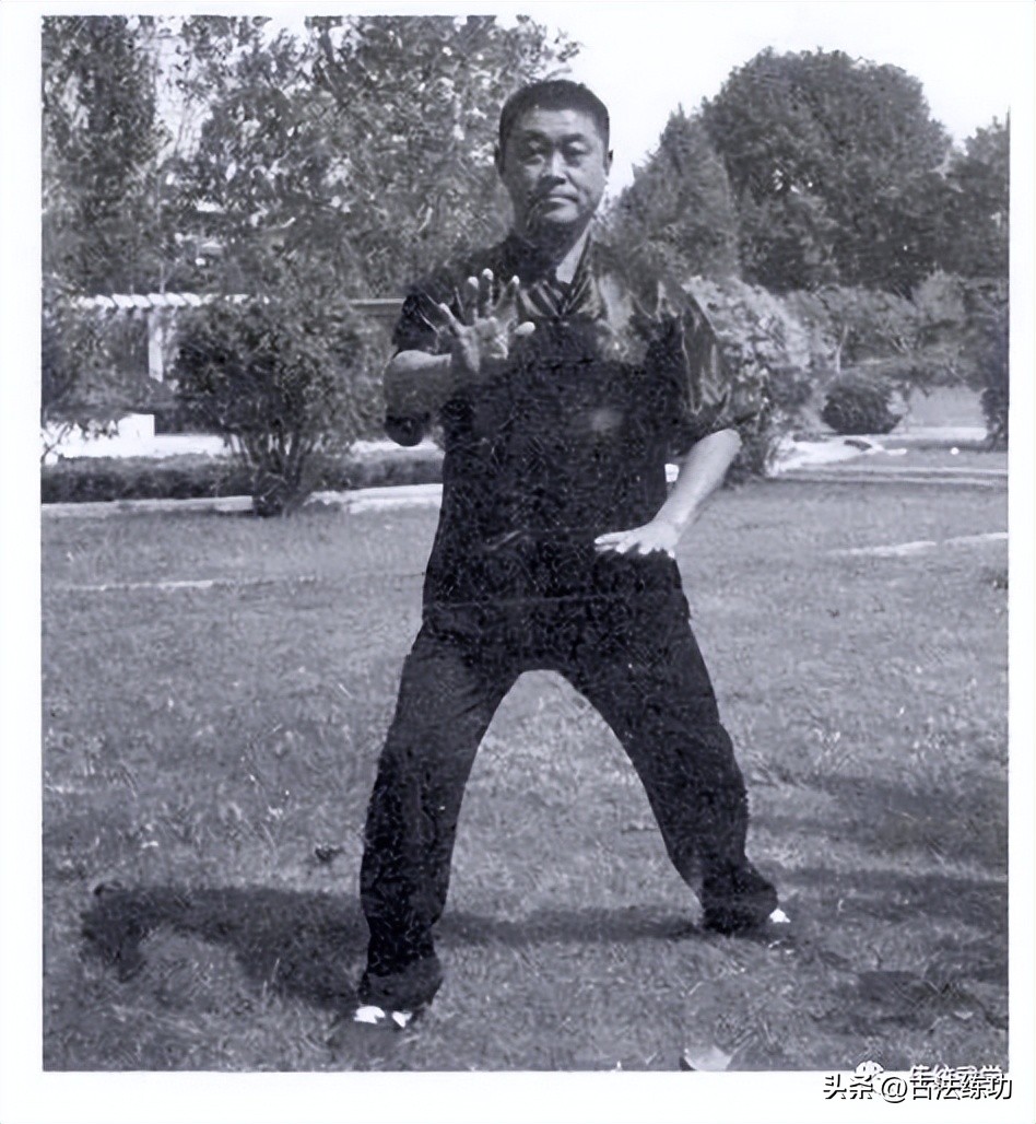 武当赵堡太极拳秘笈讲解,武当赵堡太极拳