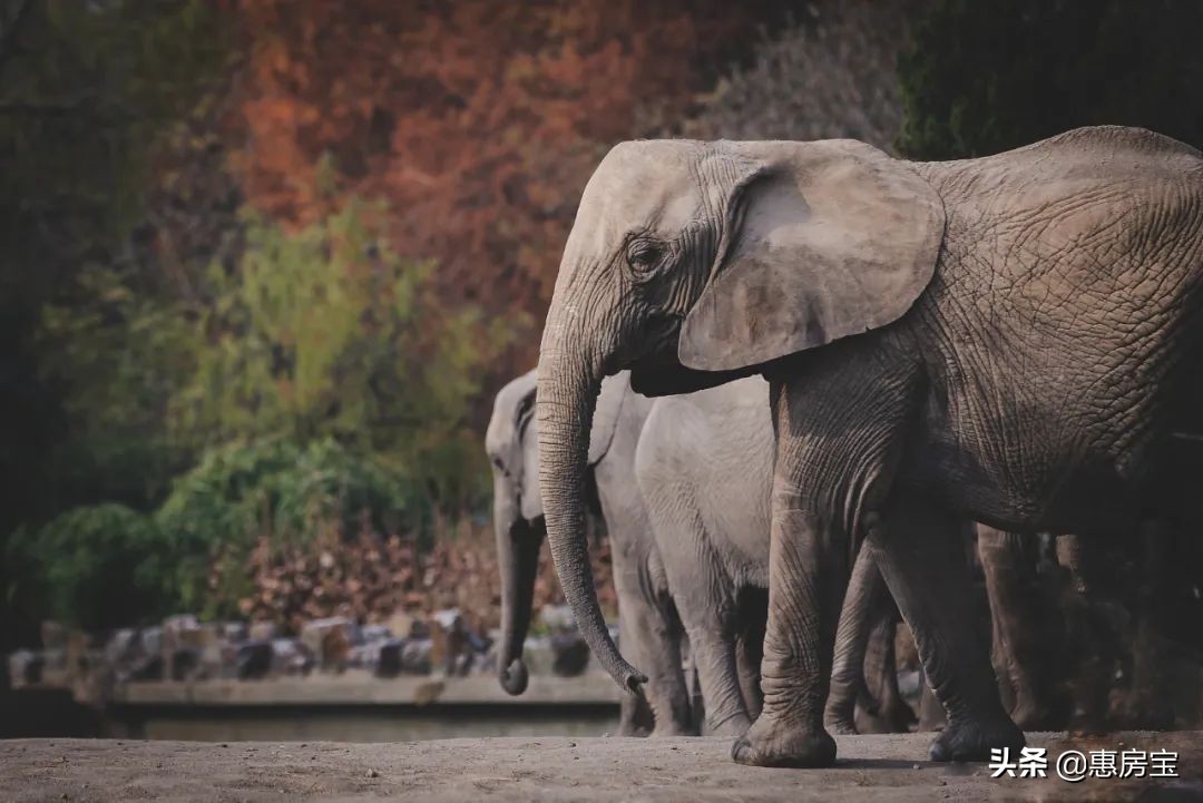 上海公园免费,上海免费公园排行